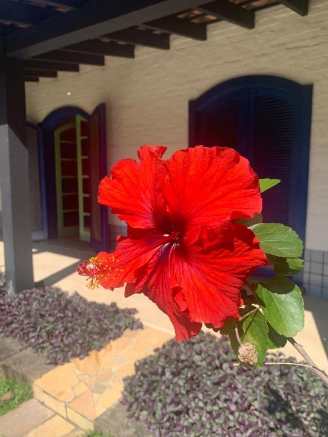Villa Ubatuba _ Vivencie nossa energia Exterior foto